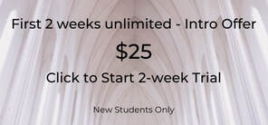 Introductory offer